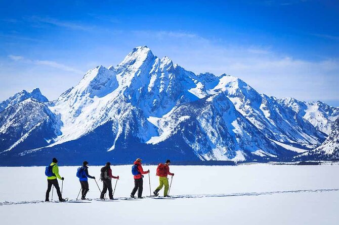 8 Hour Combination Snowshoe & Wildlife Viewing in Grand Teton National Park - Traveler Reviews