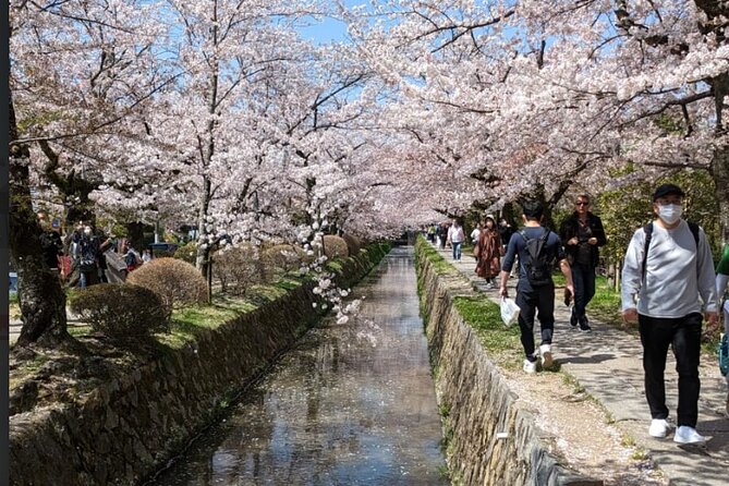 8 Hour Private Tour of Kyoto - Experiencing Kyotos Culture
