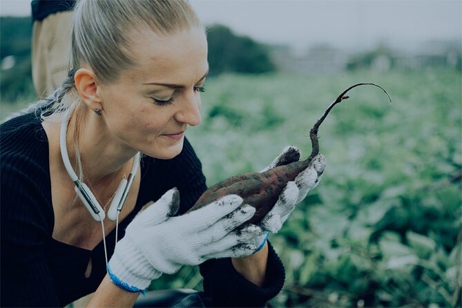 A Gastronomic Tour Exploring the Cycle of Nature and Food - Sustainability and Environmental Practices