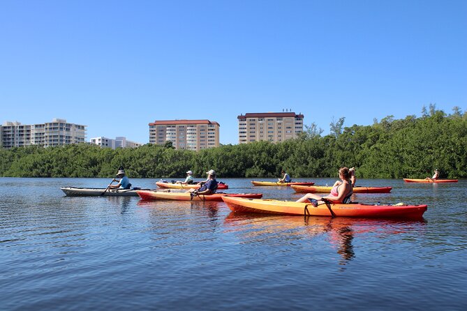 Adventure and Wildlife Watch Kayak Rentals in Sarasota - Meeting Point and Logistics