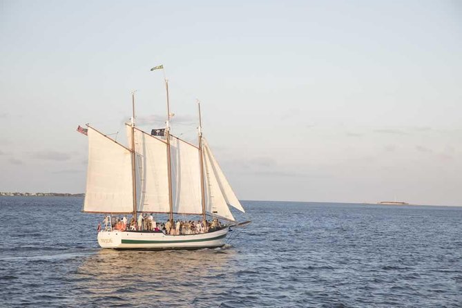 Afternoon Schooner Sightseeing Dolphin Cruise on Charleston Harbor - Family-Friendly Activities