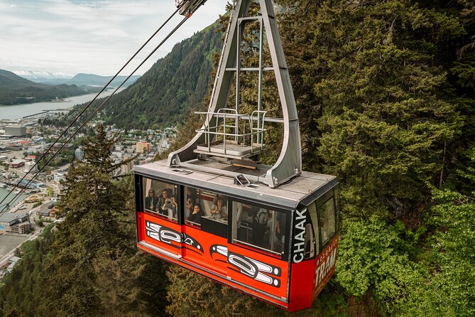 Alaska Native Tour and Tram Combo - Accessibility and Participation