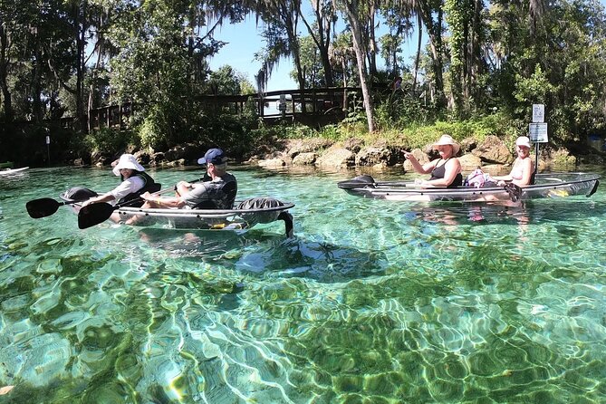 All Clear Kayak Springs & Manatees Tour Of Crystal River - Guided Tour Details