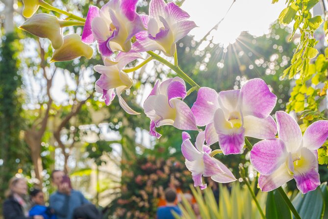 All-Garden Pass for the New York Botanical Garden - Accessibility and Amenities