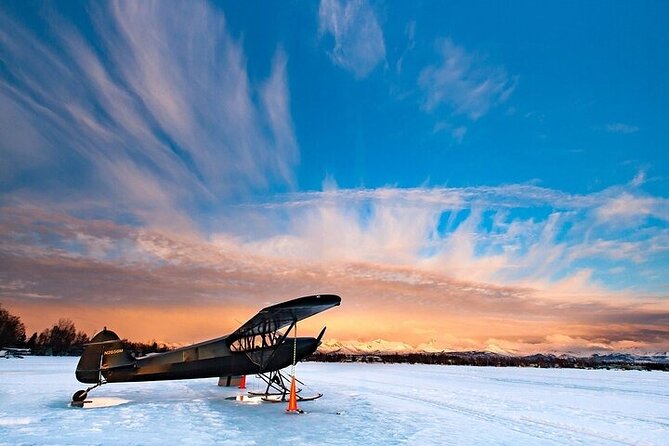 Anchorages Winter City Tour = Samples + Stops + WildLife - Guest Feedback and Suggestions
