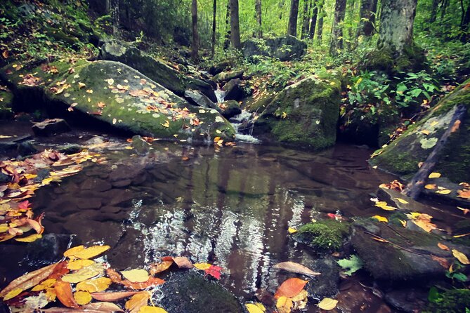 Appalachian Waterfalls Hike - Health and Safety Guidelines
