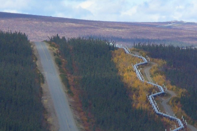 Arctic Circle Full-Day Adventure From Fairbanks - Reviews and Feedback