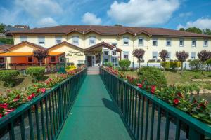 Aster Hotel Aux Arcades Restaurant - Activities and Attractions Nearby