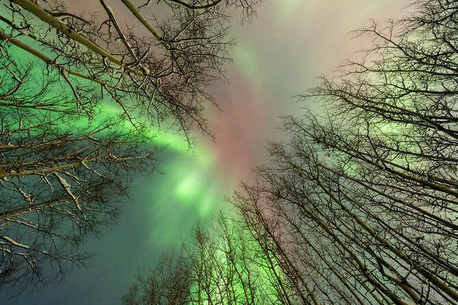 Aurora Chasing Tour With Free Photography - Photography and Additional Services