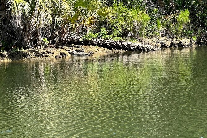 Backland Alligator Electric Paddle Tour - Meeting Point and Tour Logistics
