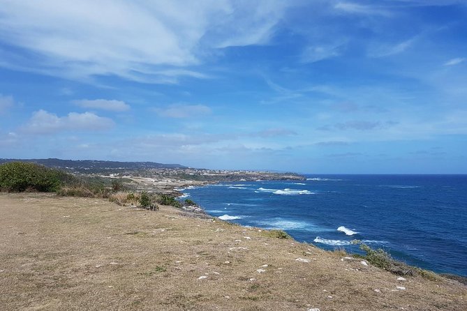 Barbados Half Day Coastal Sightseeing Private Tour - Accessibility and Participation