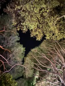 Beau Rivage Hotel - Dining Options