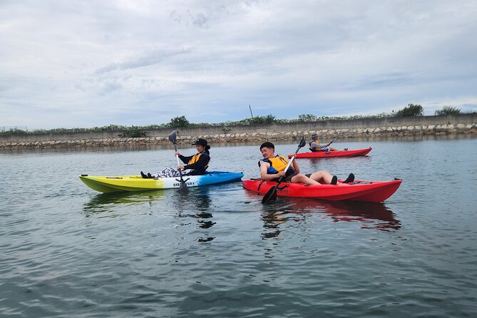 Beginner Friendly Stand Up Paddle Boarding Tour in Awaji Island - What to Expect on the Tour