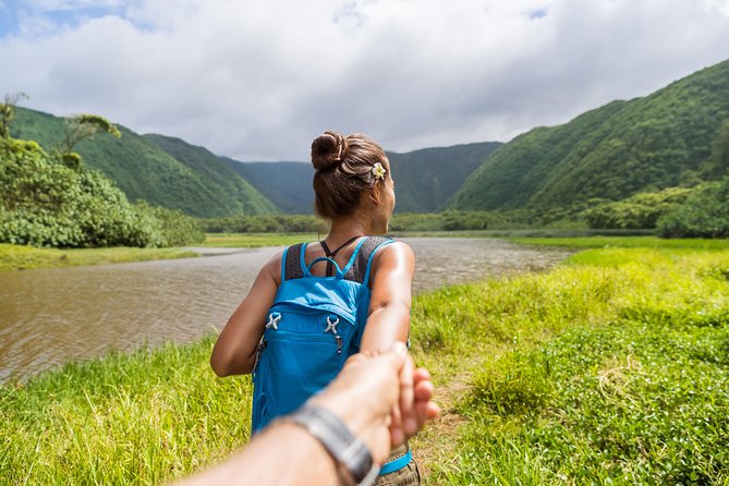 Big Island - Kohala Coast & Backcountry Driving Tour - Accessibility and Convenience for All