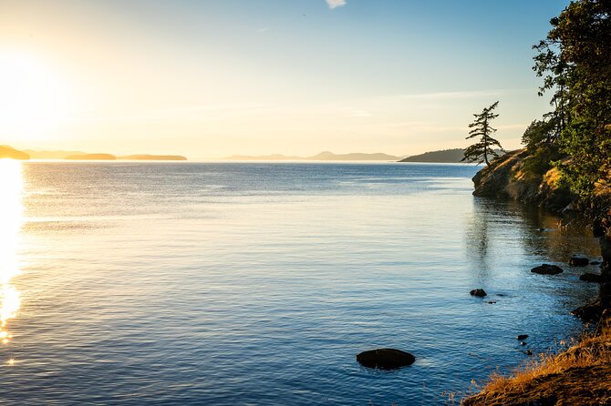 Bioluminescence and Sunset Kayak Tour in the San Juan Islands - Booking Information