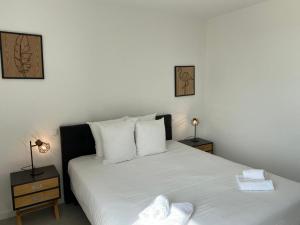 BLUE AGOSTA - Amenities and Services