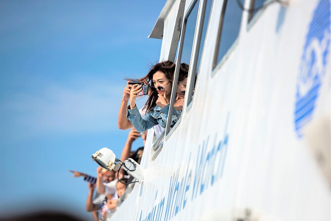 Boston Whale Watching Cruise by High-Speed Catamaran - Accessibility and Accommodations
