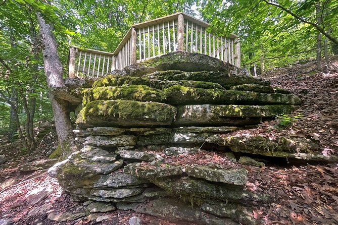 Branson Cart Adventures - Features and Amenities