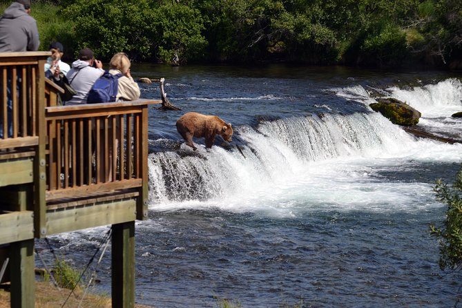 Brooks Falls Katmai Bear Viewing in a Float Plane - Inclusions and Exclusions