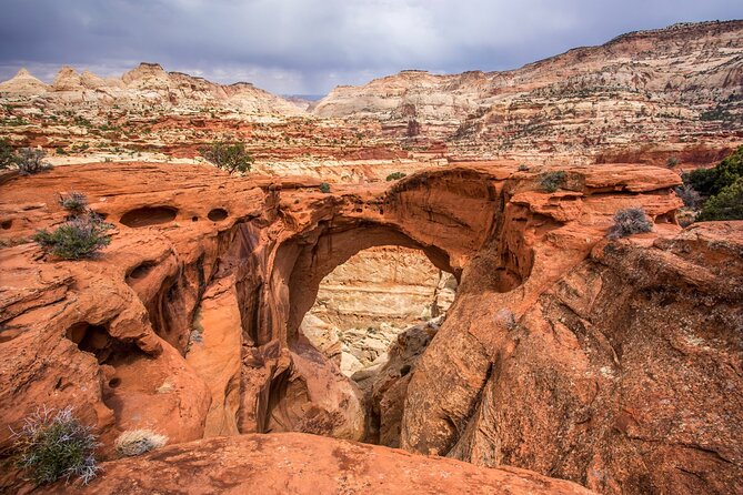 Capitol Reef National Park Self-Guided Driving Audio Tour - Customer Experiences and Feedback