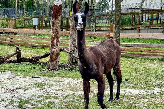 Central Florida Zoo and Botanical Gardens Ticket - Amenities and Services Offered