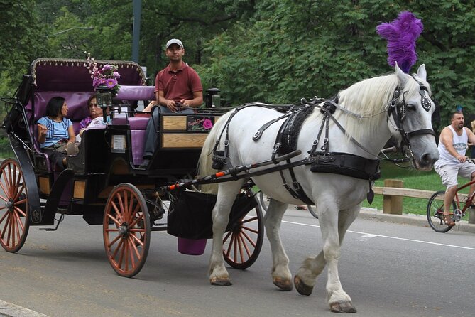 Central Park and NYC Private Horse Carriage Ride - Additional Information