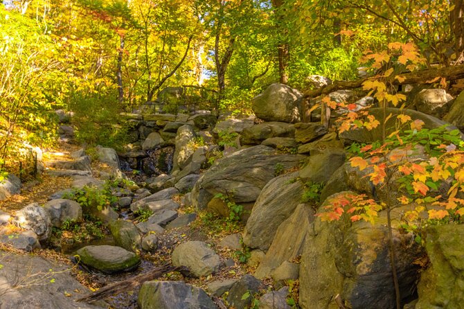 Central Park Walking Tour: Scandal and Vice - Inclusions and Accessibility