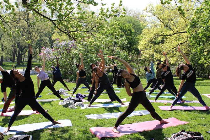 Central Park Yoga Class With a View in the Heart of New York City - Instructor Expertise and Class Atmosphere