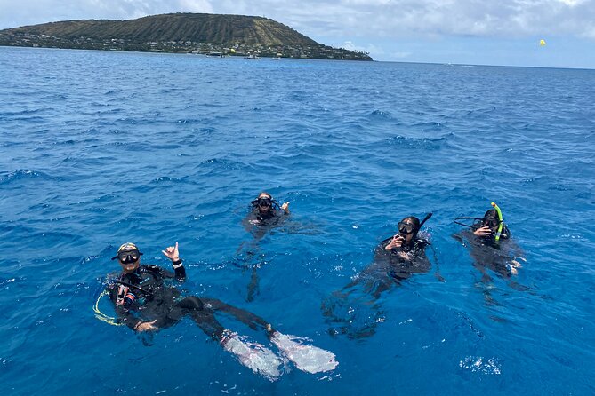 Certified Scuba Diving Experience in Honolulu - Reviews and Feedback From Previous Divers
