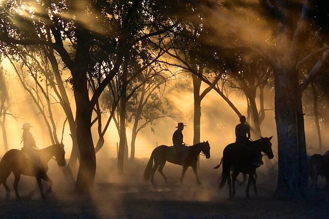 Champagne and Charcuterie Sunset Trail Ride - Safety and Health Guidelines