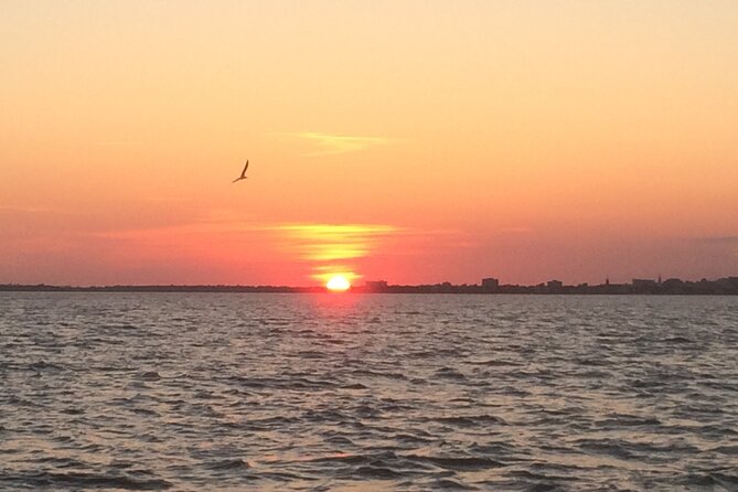 Charleston Harbor Sunset Cruise - Customer Feedback