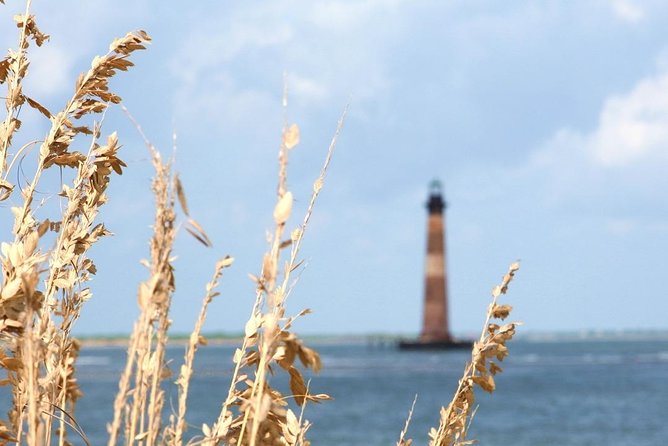 Charleston TourPass 1-Day Pass - Includes 40 Top Tours - Transportation and Planning Considerations