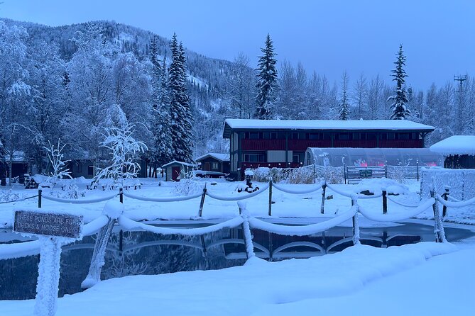 Chena Hot Spring Day Tour - Health and Accessibility Considerations
