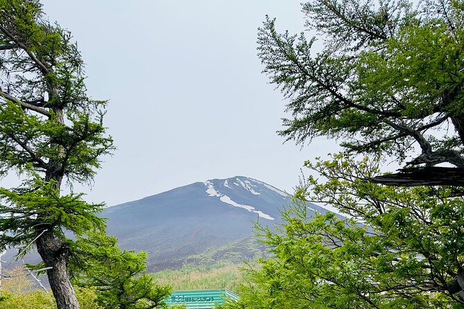 Cherry Blossom Mount Fuji Customizable Luxury Vehicle Guided Tour - Booking Details