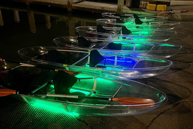 Clear Kayak Private Guided Day and Night Tours in Florida - Unique Wildlife Encounters