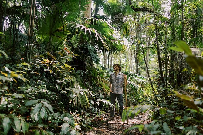 Cloud Forest Sanctuary Jungle Tour - Planning Your Visit to the Sanctuary