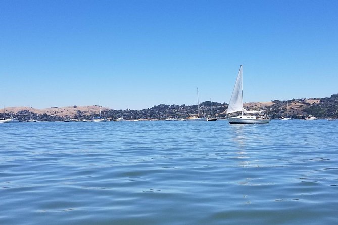 Combo Small-Group Tour: SF City Plus Muir Woods & Sausalito - Sausalito Leisure Time