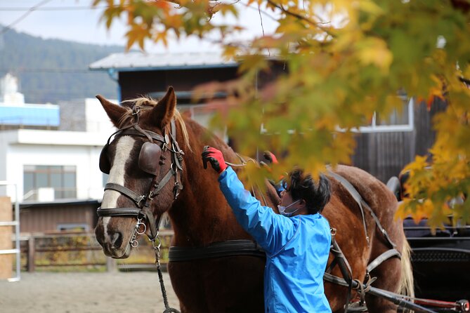 Cosy Horse Carriage Ride With Snowy Mt. Fuji Views - Enjoying the Breathtaking Views of Mount Fuji