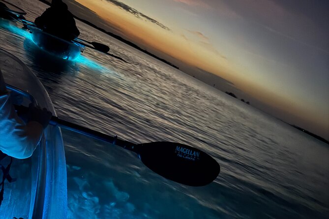 Crystal River Sunset and Glow Clear Kayak Manatee Tour - Customer Reviews and Feedback