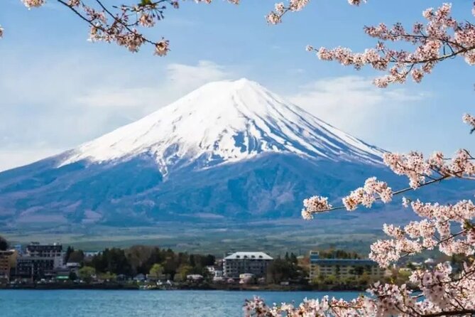 Customizable 10 Hour Private Tour From Tokyo to Mount Fuji - Booking and Cancellation Policy