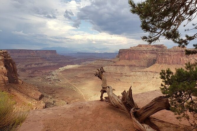 Day Tour Arches and Canyonlands National Park in Utah - Customer Reviews and Feedback