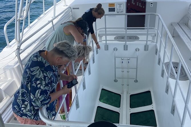 Day Tour Glass Bottom Boat In Islamorada - Exploring the Underwater World