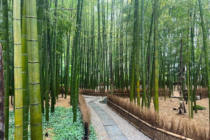 Day Trip Kamakura From Tokyo With National Licensed Guide - Tips and Recommendations
