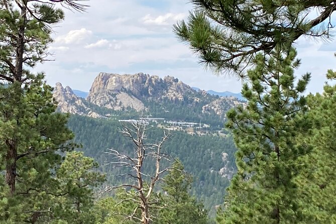 Day Trip of the Black Hills: Mount Rushmore to Custer State Park! - Consistently Positive Customer Feedback