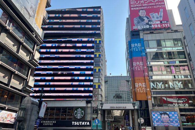Day Trip Osaka From Tokyo With a Guide by Bullet Train - Transportation by Bullet Train