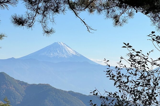 Day Trip Shosen Valley From Tokyo - Itinerary and Highlights