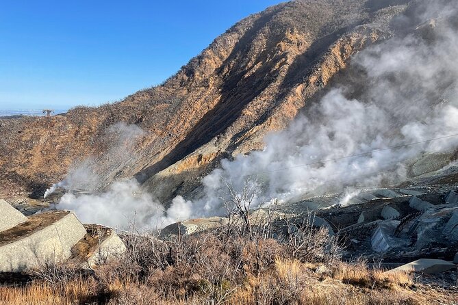 Day Trip to Hakone From Tokyo With National Licensed Guide - Booking and Cancellation Policy