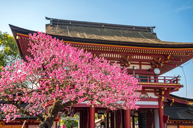Dazaifu Bungo Mori Roundhouse Beppu Yufuin Private Tour - Yufuin: Strolling Through the Charming Countryside
