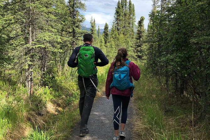 Denali National Park Walking Tour - Exploring Denalis Landscapes