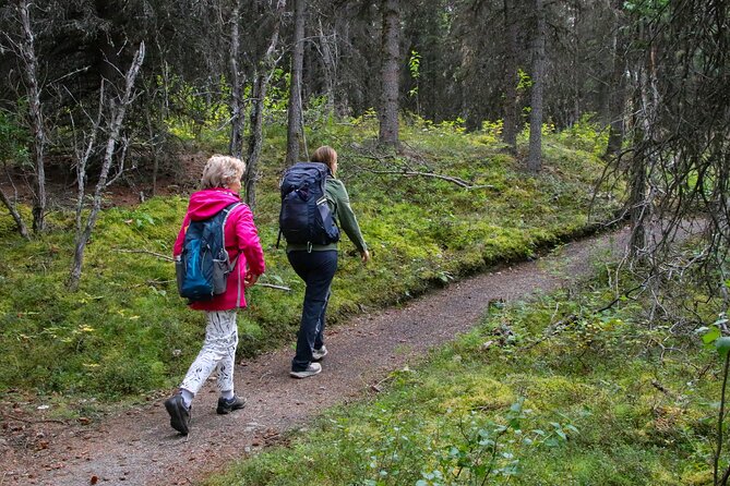 Denali Nature Hike - Customer Reviews and Experiences